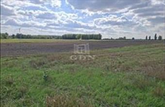 Eladó Kerekegyházai termőföld, szántó hirdetés (51334867)