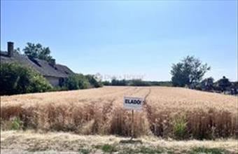 Eladó Jenői lakóövezeti telek hirdetés (39239345)