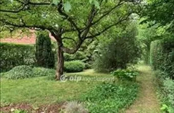 Eladó Solymári hétvégi ház hirdetés (45794733)