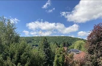 Eladó Budapest II. kerületi családi ház hirdetés (14727857)