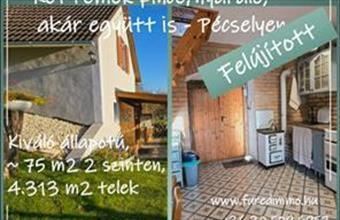 Eladó Pécselyi hétvégi ház hirdetés (54587328)
