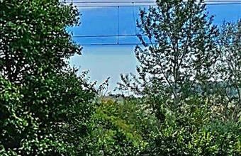 Eladó Csopaki családi ház hirdetés (49963272)