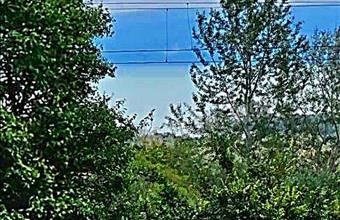 Eladó Csopaki családi ház hirdetés (49963272)