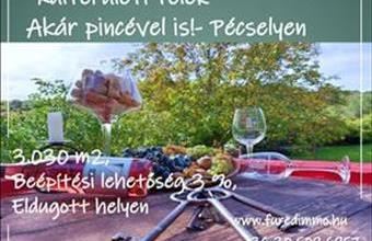 Eladó Pécselyi egyéb telek hirdetés (46347343)
