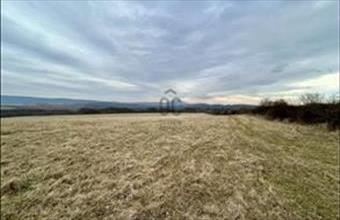 Eladó Szokolyai egyéb mezőgazdasági ingatlan hirdetés (99388225)