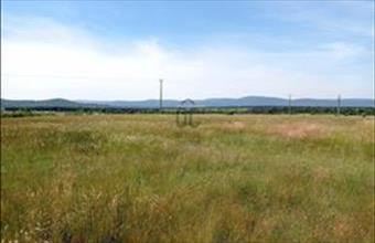 Eladó Veszprémi egyéb mezőgazdasági ingatlan hirdetés (58566313)