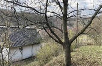 Eladó Törökbálinti lakóövezeti telek hirdetés (85742824)