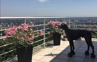 Eladó Budapest III. kerületi tégla lakás hirdetés (75334447)