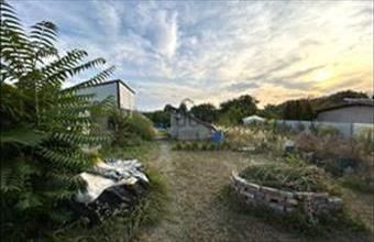 Eladó Vértesszőlősi külterületi telek hirdetés (65454434)