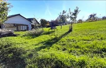 Eladó Tarjáni hétvégi ház hirdetés (83269466)