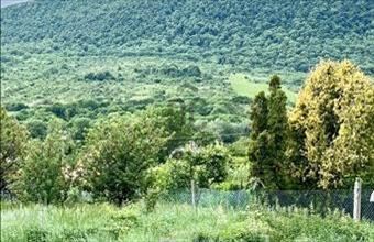 Eladó Pilisszentkereszti lakóövezeti telek hirdetés (45821436)