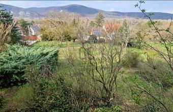 Eladó Esztergomi lakóövezeti telek hirdetés (49199839)