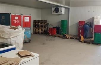 Kiadó Szekszárdi iroda irodaházban hirdetés (18337763)