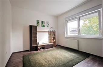 Kiadó Székesfehérvári ikerház hirdetés (86535744)