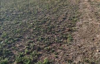 Eladó Kengyeli lakóövezeti telek hirdetés (84354947)