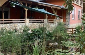 Eladó Pilisi családi ház hirdetés (29334454)