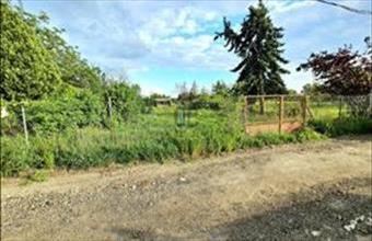 Eladó Szigetszentmiklósi külterületi telek hirdetés (47928832)