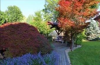 Eladó Siófoki családi ház hirdetés (69637295)