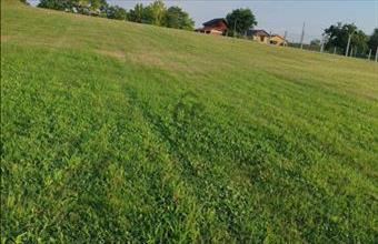 Eladó Zamárdi lakóövezeti telek hirdetés (21828779)