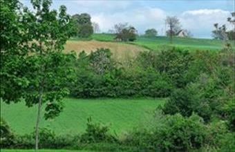 Eladó Karádi lakóövezeti telek hirdetés (13572623)