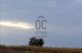 Eladó Zalakarosi üdülőövezeti telek hirdetés (57793444)