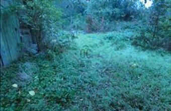 Eladó Dunaharaszti lakóövezeti telek hirdetés (85278275)