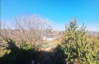 Eladó Budapest XI. kerületi családi ház hirdetés (84584234)