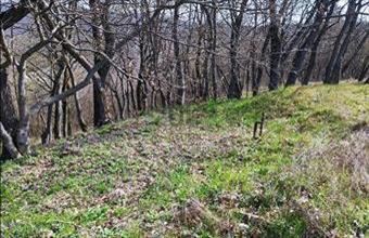 Eladó Piliscsabai lakóövezeti telek hirdetés (74947715)