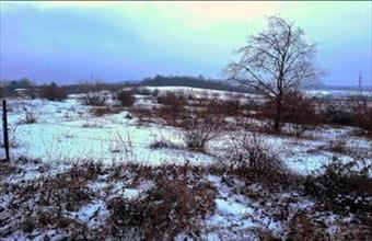 Eladó Ürömi egyéb mezőgazdasági ingatlan hirdetés (43779354)