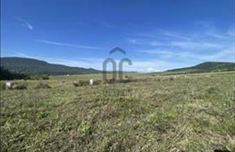 Eladó Ürömi lakóövezeti telek hirdetés (73499574)