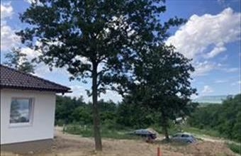 Eladó Pilisjászfalui tégla lakás hirdetés (89779964)