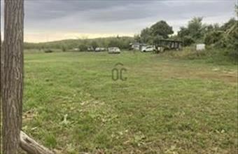 Eladó Ürömi egyéb mezőgazdasági ingatlan hirdetés (57458132)
