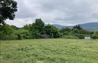 Eladó Ürömi lakóövezeti telek hirdetés (34183496)