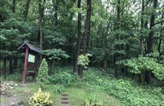 Eladó Piliscsabai üdülőövezeti telek hirdetés (75928327)