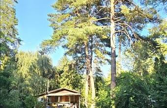 Eladó Szigetmonostori lakóövezeti telek hirdetés (69341834)