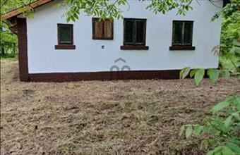 Eladó Ásotthalomi egyéb mezőgazdasági ingatlan hirdetés (39497637)