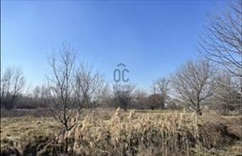 Eladó Budapest XX. kerületi külterületi telek hirdetés (94747173)