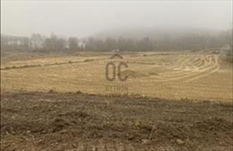 Eladó Tatabányai külterületi telek hirdetés (67733627)