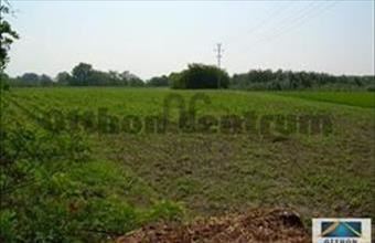 Eladó Komáromi külterületi telek hirdetés (63733374)