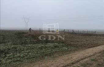 Eladó Fóti termőföld, szántó hirdetés (74674934)