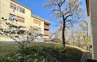 Eladó Budapest II. kerületi tégla lakás hirdetés (39271349)