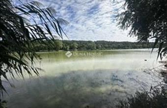 Eladó Gombai családi ház hirdetés (37879493)