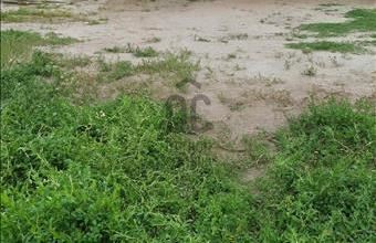 Eladó Budapest XV. kerületi lakóövezeti telek hirdetés (56194824)