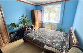 Eladó Törökbálinti családi ház hirdetés (57478981)