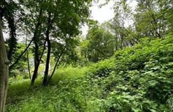 Eladó Leányfalui lakóövezeti telek hirdetés (66857736)