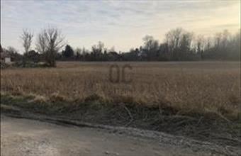 Eladó Ráckevei üdülőövezeti telek hirdetés (25745739)