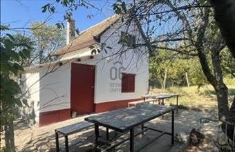 Eladó Szekszárdi tanya hirdetés (57592887)