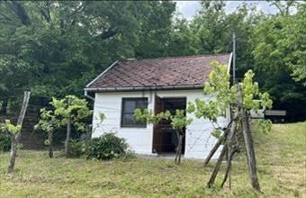 Eladó Szekszárdi tanya hirdetés (35742327)
