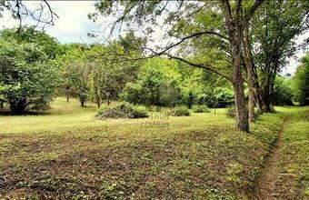 Eladó Cserdi egyéb mezőgazdasági ingatlan hirdetés (63559232)