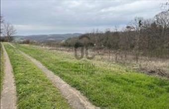 Eladó Gödrei külterületi telek hirdetés (33828254)